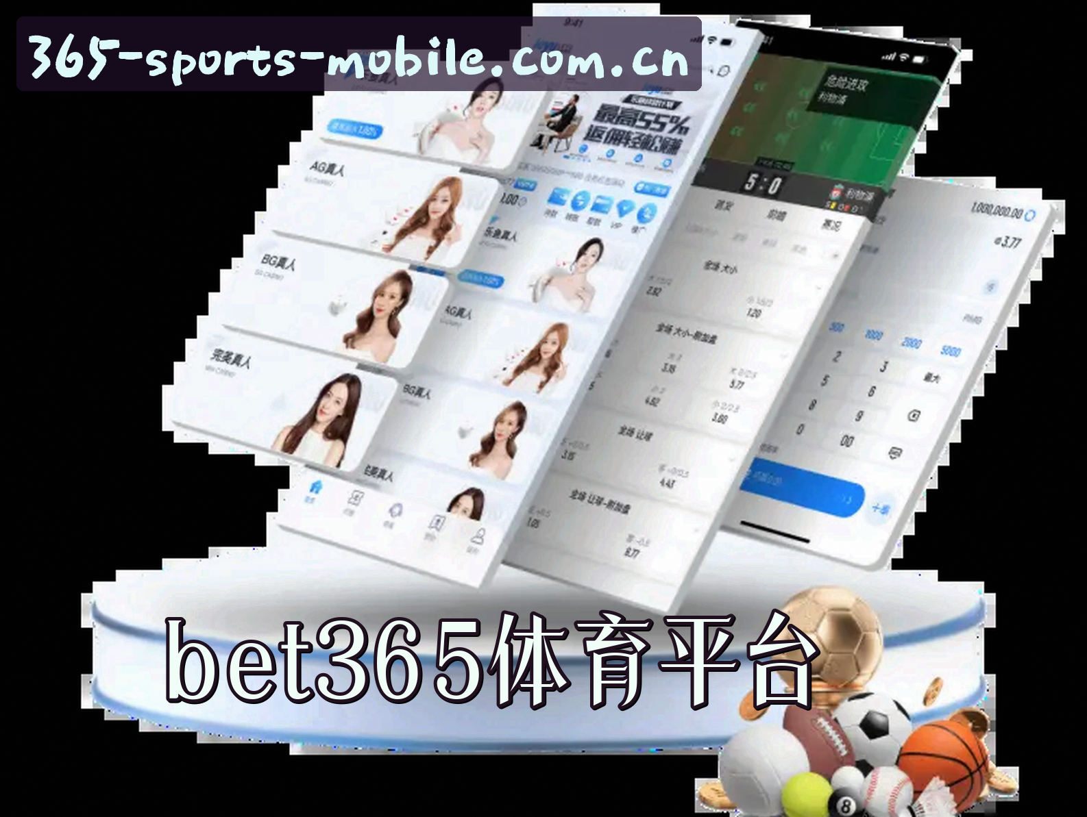 关于我们简介